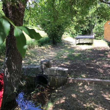 Gite Dans Le Sud Aveyron Сент-Африк Екстериор снимка